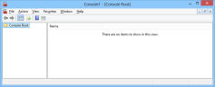 An empty Management Console